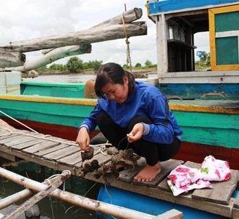 Phát triển nghề nuôi hàu Thái Bình Dương: Ngư dân và doanh nghiệp cùng bắt tay