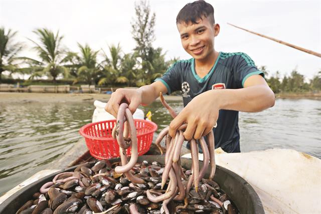 Bắt trùn nước dưới đáy sông