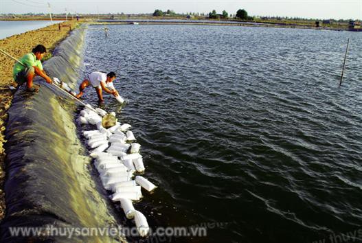Sản xuất và chế biến theo tín hiệu thị trường