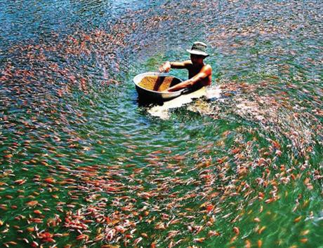 Sức trẻ cho một ngày mai hùng cường!