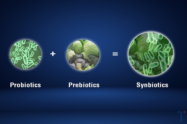 Tóm lại, synbiotics là probiotics và prebiotics?