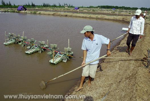 Tăng cường quản lý dịch bệnh