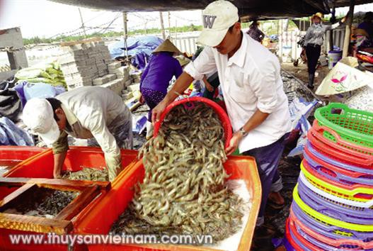 Tăng sức cạnh tranh nhờ truy xuất nguồn gốc