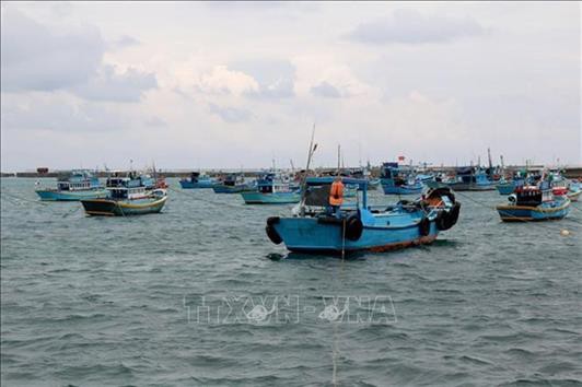 Không cho xuất bến tàu cá chưa lắp thiết bị giám sát hành trình