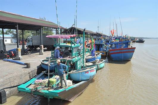 Những hiệu quả tích cực từ chống khai thác hải sản bất hợp pháp