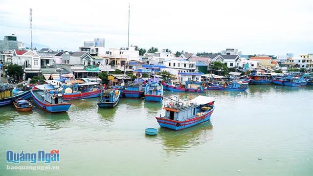 Những "cơn bão" không đến từ biển