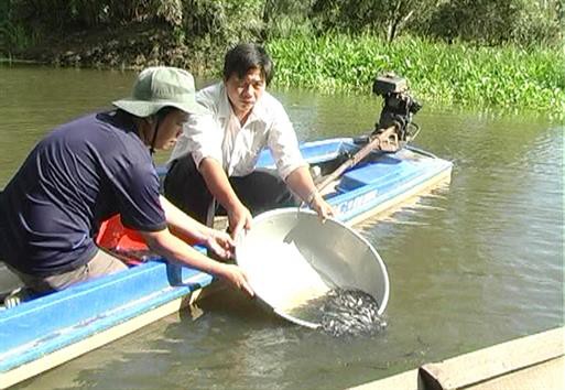 Đồng Tháp: 13 loài thủy sản có nguy cơ tuyệt chủng tại Tràm Chim