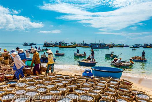 Tháo gỡ khó khăn trong hậu cần nghề cá