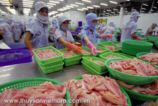 Xuất khẩu thủy sản lộ rõ sự manh mún