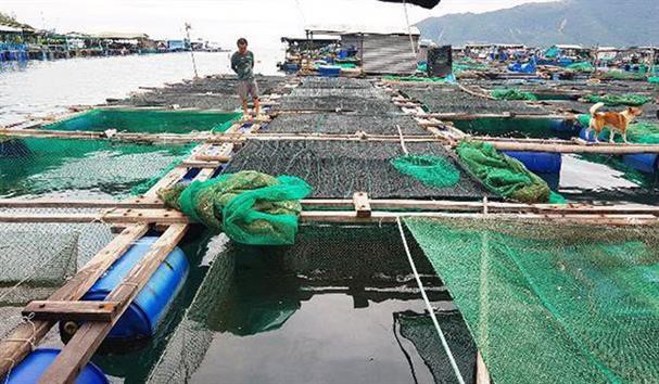 Miền Trung thiệt hại khoảng 886 tỷ đồng do bão số 5