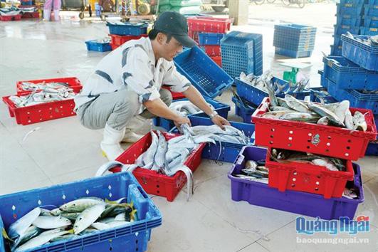 Xuất khẩu thủy sản 6 tháng năm 2019 đạt gần 4 tỷ USD