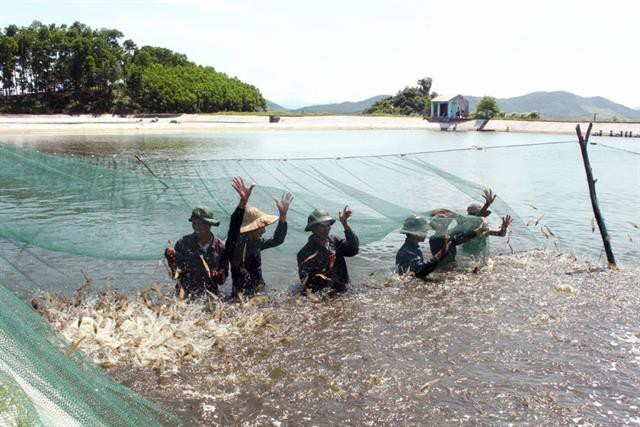 Cà Mau đưa tiến bộ khoa học vào nông nghiệp, thủy sản