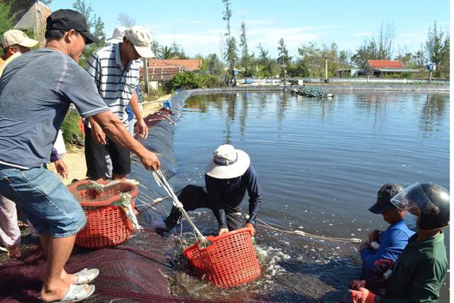 Xuất khẩu thủy sản tăng tốc về đích sớm