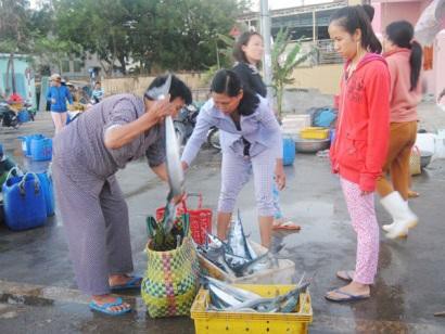 Ninh Thuận: Đầu năm, ngư dân ra khơi khai thác hải sản