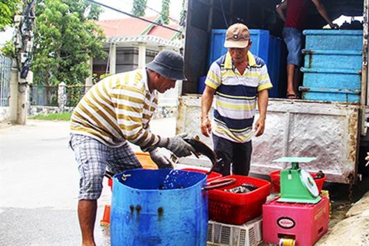 Khánh Hòa giá tăng nhưng thủy sản không còn nhiều