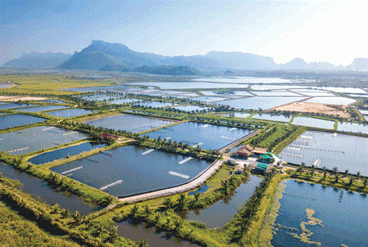 Thủy sản thế giới hướng đích bền vững