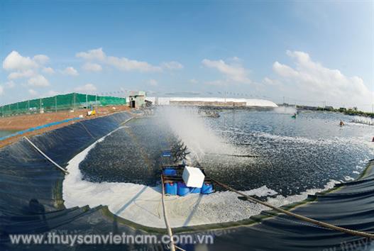 Giảm thiệt hại trong nuôi trồng thủy sản