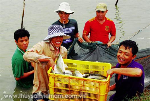 Tỏa sáng những tấm gương thủy sản