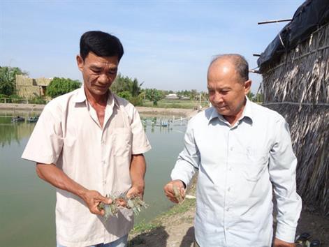 Long An: Dịch bệnh hoành hành, hàng trăm ha ao tôm thiệt hại khi giá tôm lăm le lập đỉnh