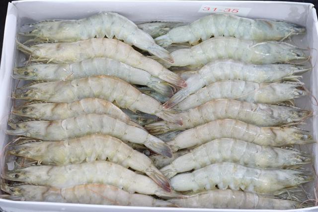 Gặp khó ở Trung Quốc, ngành tôm Ecuador chuyển hướng sang thị trường Mỹ