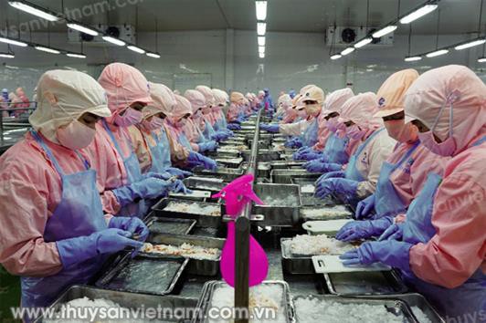 Cơ hội mới tại thị trường Trung Quốc