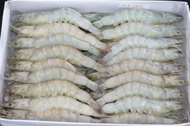 Ngành tôm chủ động đón đầu thị trường xuất khẩu trong mùa dịch Covid-19