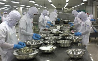 Hàn Quốc tăng nhập khẩu tôm từ Việt Nam