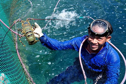 Thủy sản trên đảo Lý Sơn