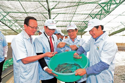 Hội Nghề cá Việt Nam: Triển khai nhiều hoạt động hiệu quả