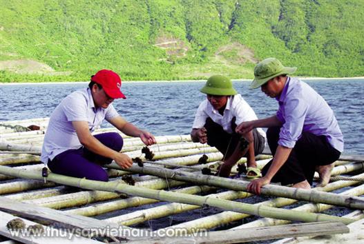 Khai phá thế mạnh kinh tế vùng Bắc Trung bộ