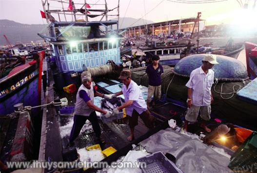 Cần giải pháp khả thi cho ngành nông nghiệp
