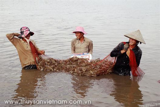 Tự hào Danh hiệu Chất lượng vàng