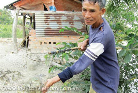 Vĩnh Long đẩy mạnh nuôi trồng thủy sản