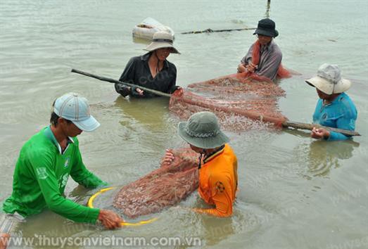 Cần giải pháp căn cơ về nguyên liệu