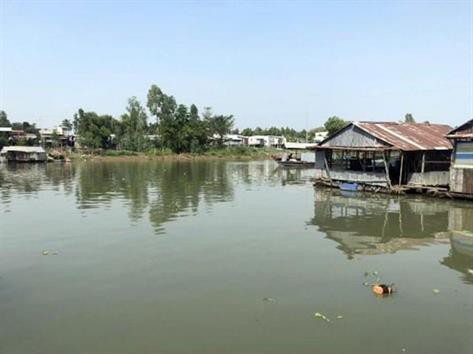 An Giang: Tìm nguyên nhân cá lồng bè chết hàng loạt
