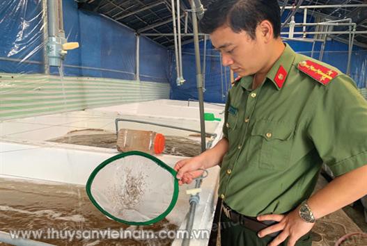 Xử phạt nghiêm mới tôn trọng luật