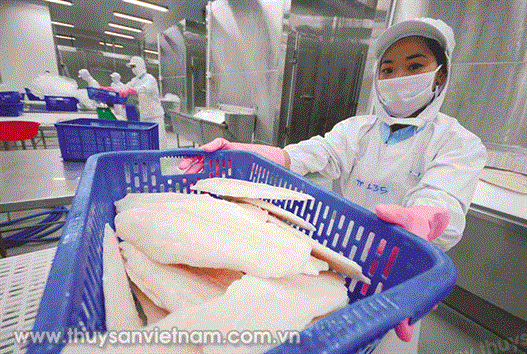 Xuất khẩu cá tra 2019: Doanh nghiệp cần thay đổi chiến lược