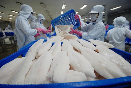 Hấp dẫn thị trường Mỹ
