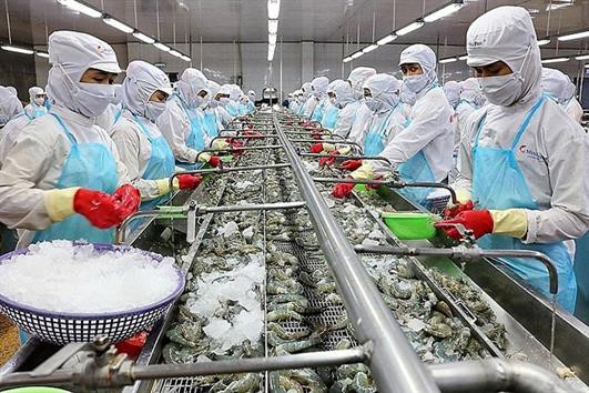 Xuất khẩu thủy sản dự báo thu về 2,1 tỉ USD trong quý II/2021