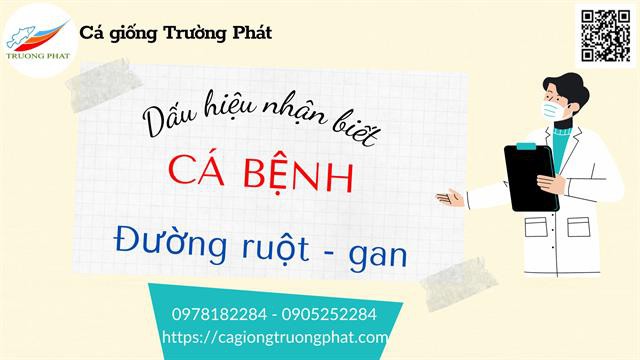 CÁC DẤU HIỆU NHẬN BIẾT BỆNH GAN - ĐƯỜNG RUỘT TRÊN CÁ BIẾN