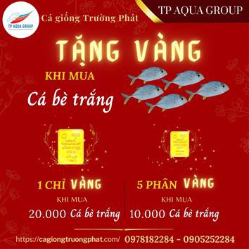 Khuyến mãi MUA CÁ TẶNG VÀNG chỉ có tại Cá Giống Trường Phát