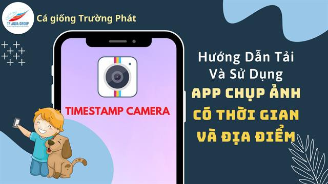 CÁCH TẢI VÀ SỬ DỤNG ỨNG DỤNG TIMESTAMP TRÊN ĐIỆN THOẠI THÔNG MINH