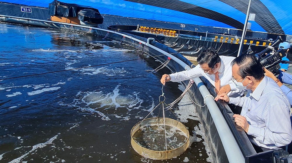 Khánh Hòa trung tâm nuôi biển quan trọng dẫn đầu cả nước