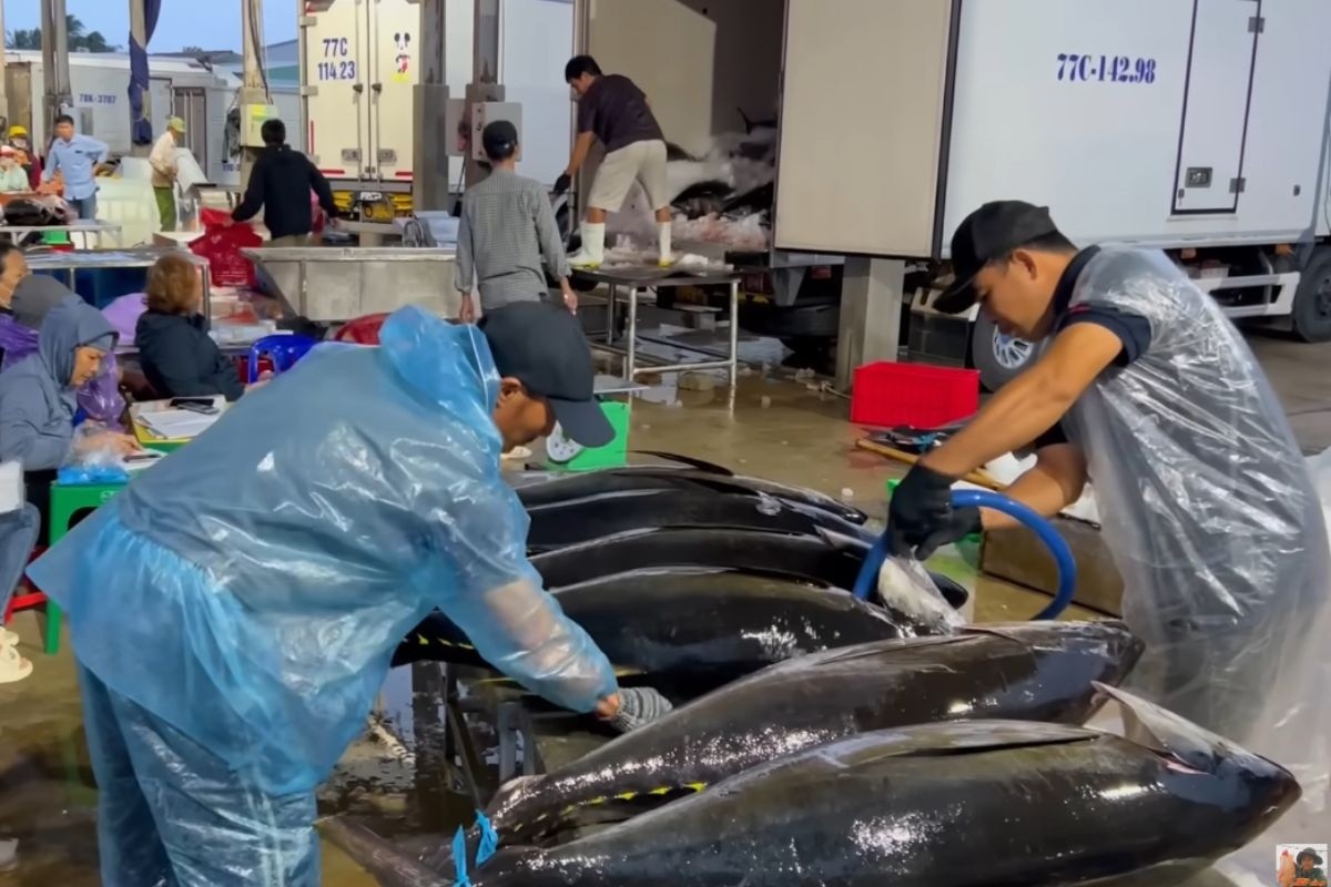 Vượt sóng gió đầu năm, khai thác thủy sản biển Gia Lai đạt 19.000 tấn