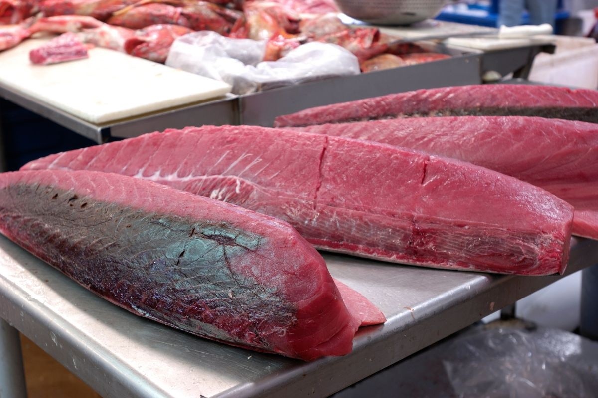 Cá ngừ và giấc mơ thuế quan 0%