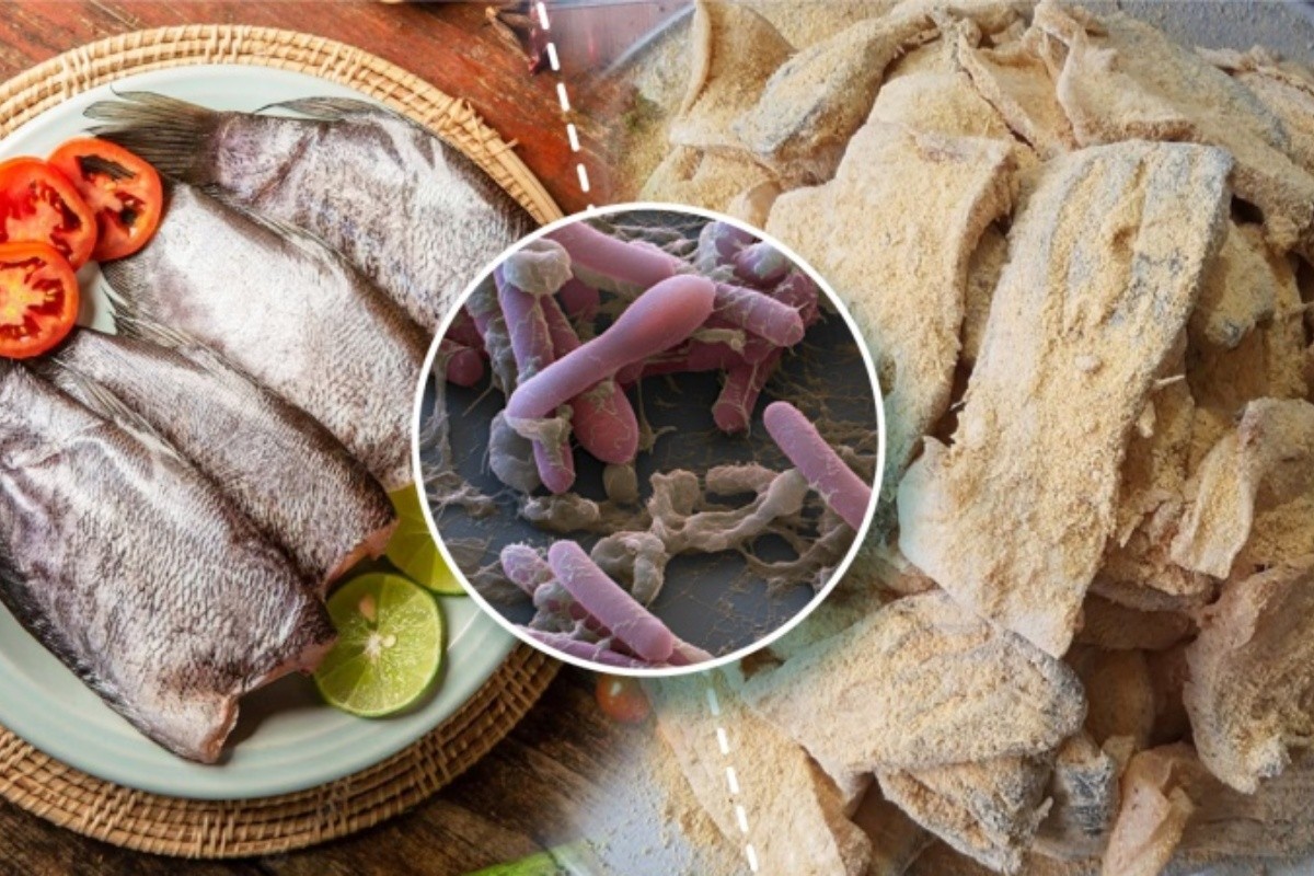 Độc tố “tử thần” có thể ẩn trong món cá ủ chua quen thuộc