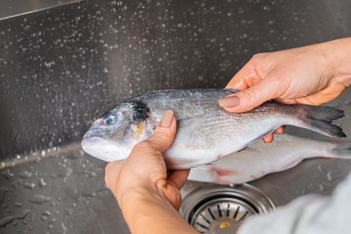 Vì sao đã sơ chế kỹ nhưng cá vẫn tanh?