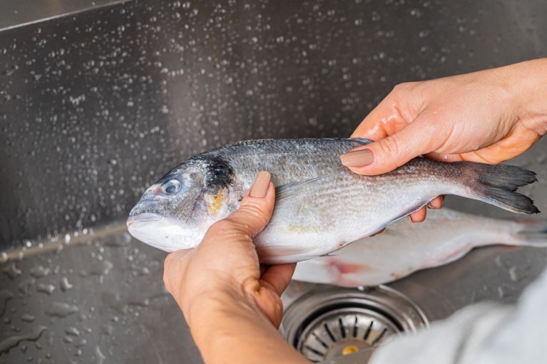 Vì sao đã sơ chế kỹ nhưng cá vẫn tanh?