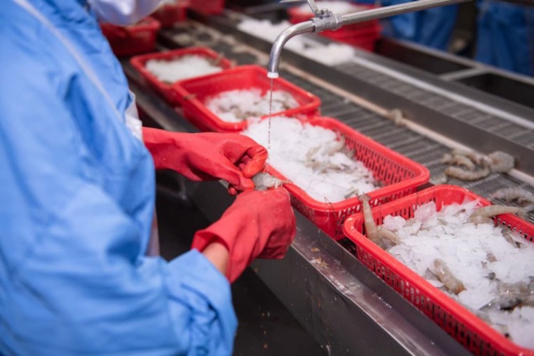 Một số doanh nghiệp thủy sản tạm dừng xuất khẩu sang Trung Đông