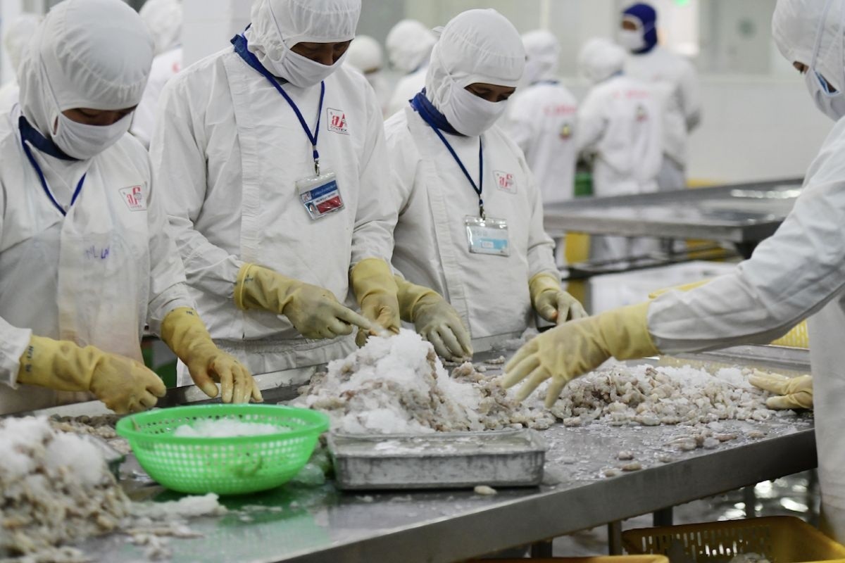 Vượt Mỹ và Nhật Bản, Trung Quốc trở thành thị trường thủy sản số 1 của Việt Nam